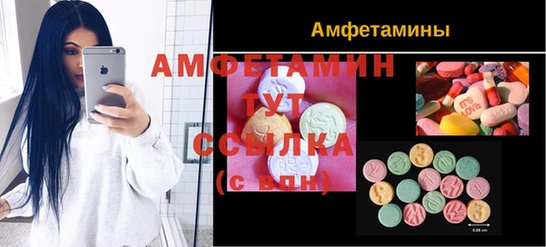 стаф Нея
