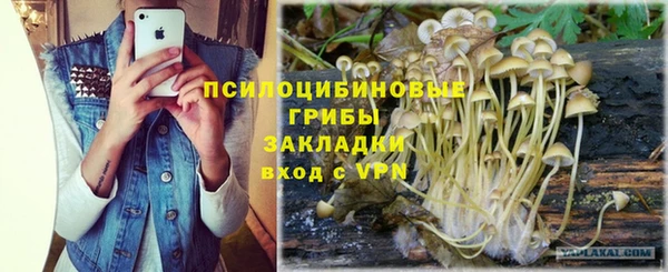 Альфа ПВП Нефтекумск