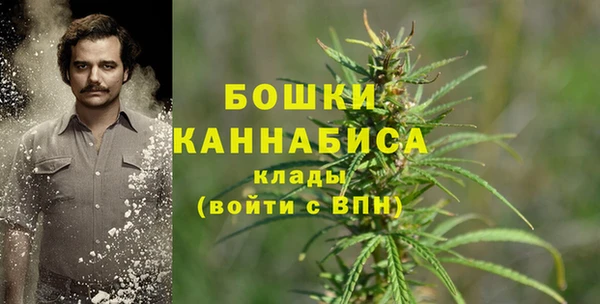 стаф Нефтегорск