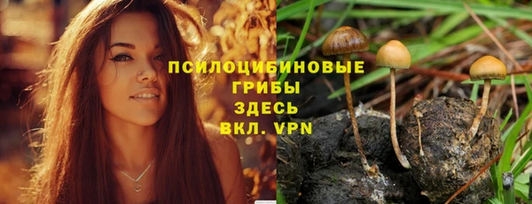 стаф Нея