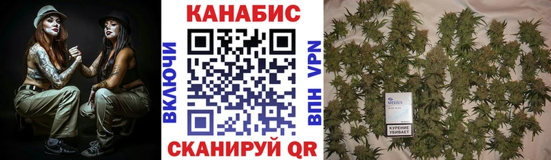 kraken ССЫЛКА Великий Новгород Бошки марихуана семена